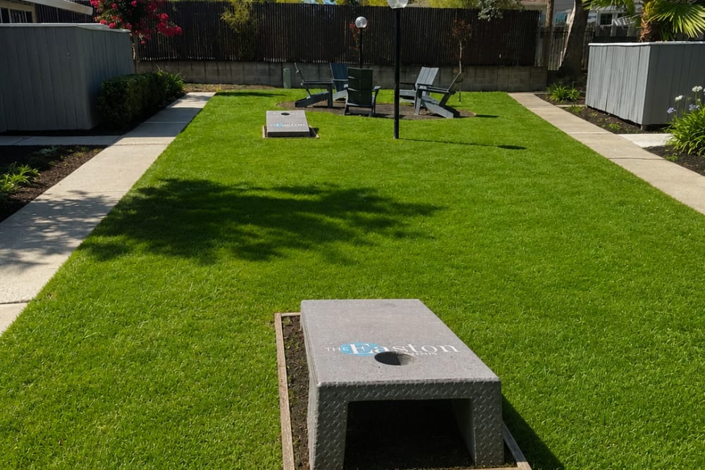 cornhole on lawn