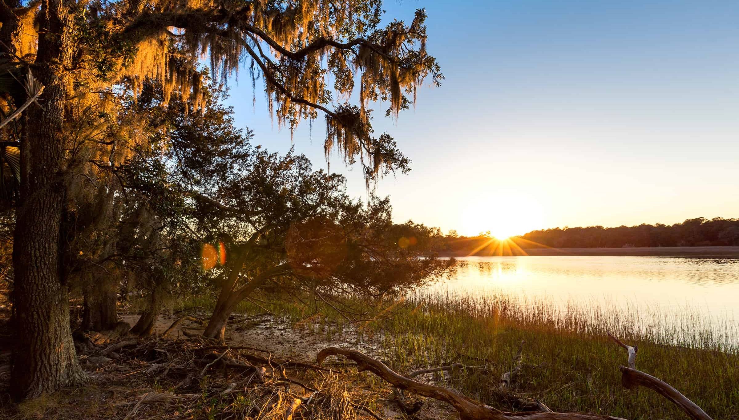 Top 5 Trails in Savannah for a Relaxing Spring Walk