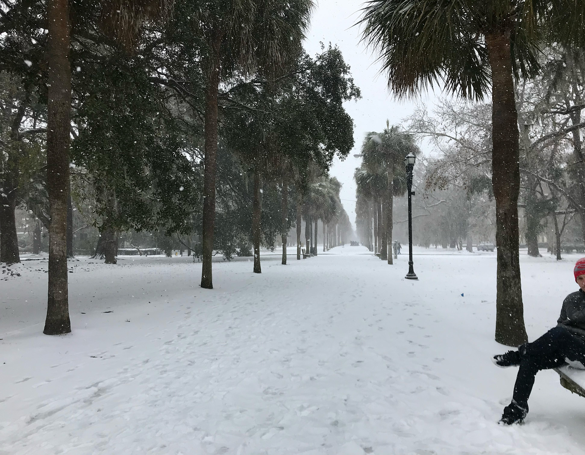 Snow in Savannah: Tuesday Morning Update