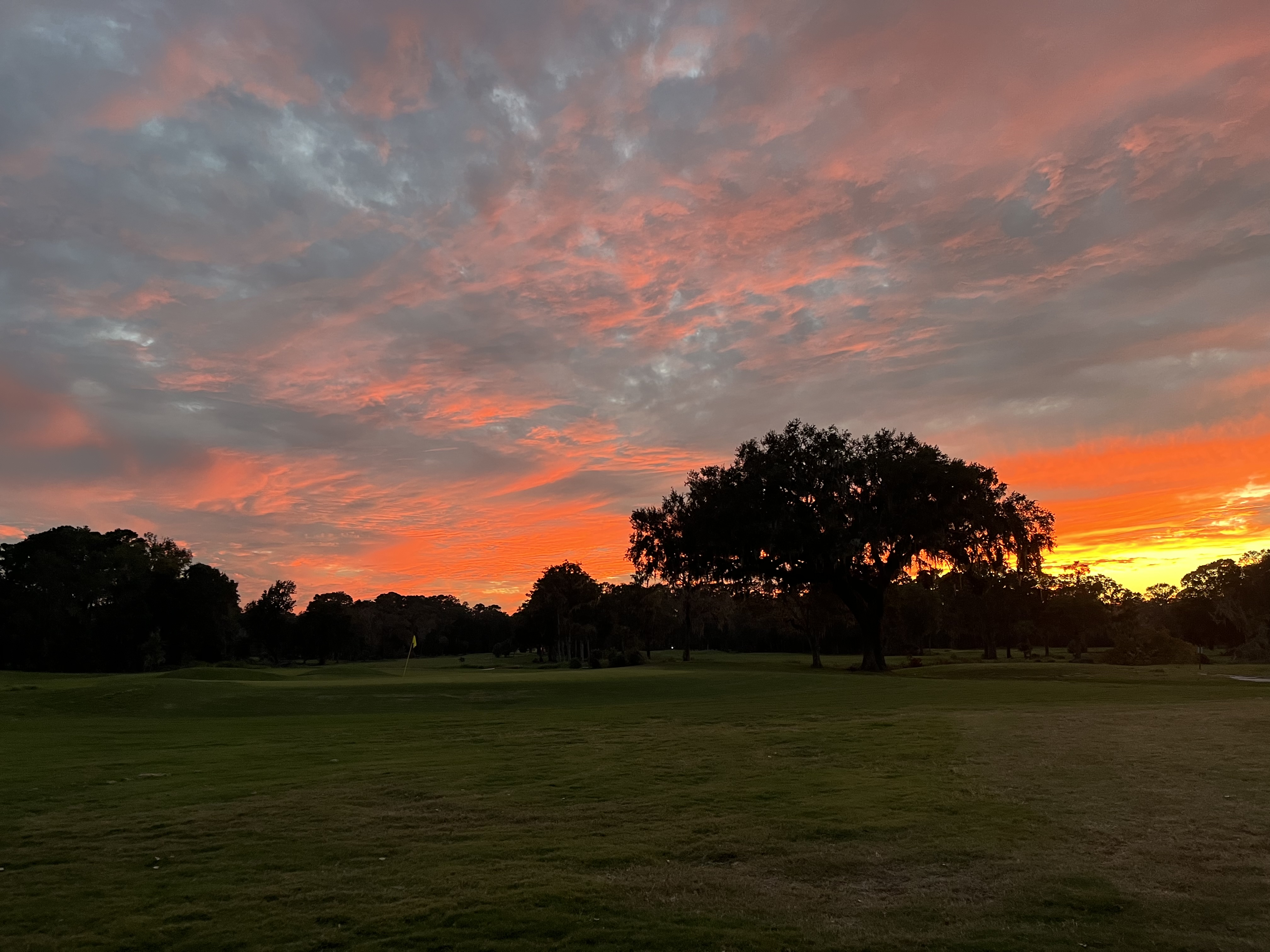 Bacon Park Marks 100 Years of Golf in Savannah