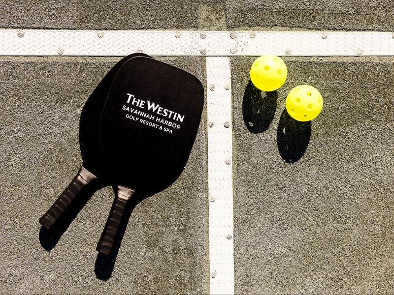 Neighborhood Pickleball Party