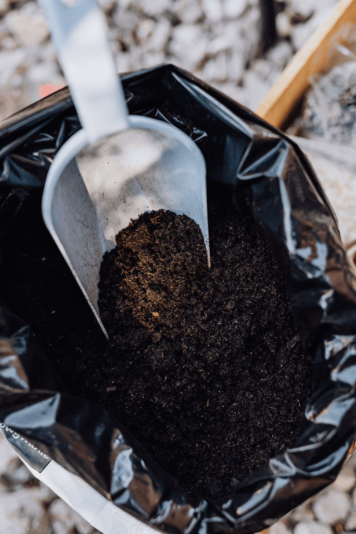 Metal scoop filled with dark, rich soil inside a black plastic bag with gravel visible in the background.
