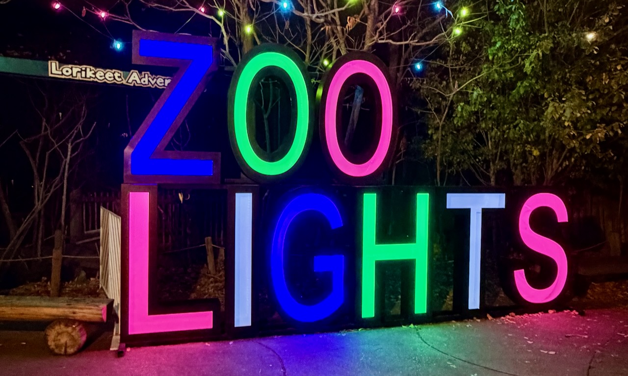 Waterfall Projection at Denver Zoo Lights