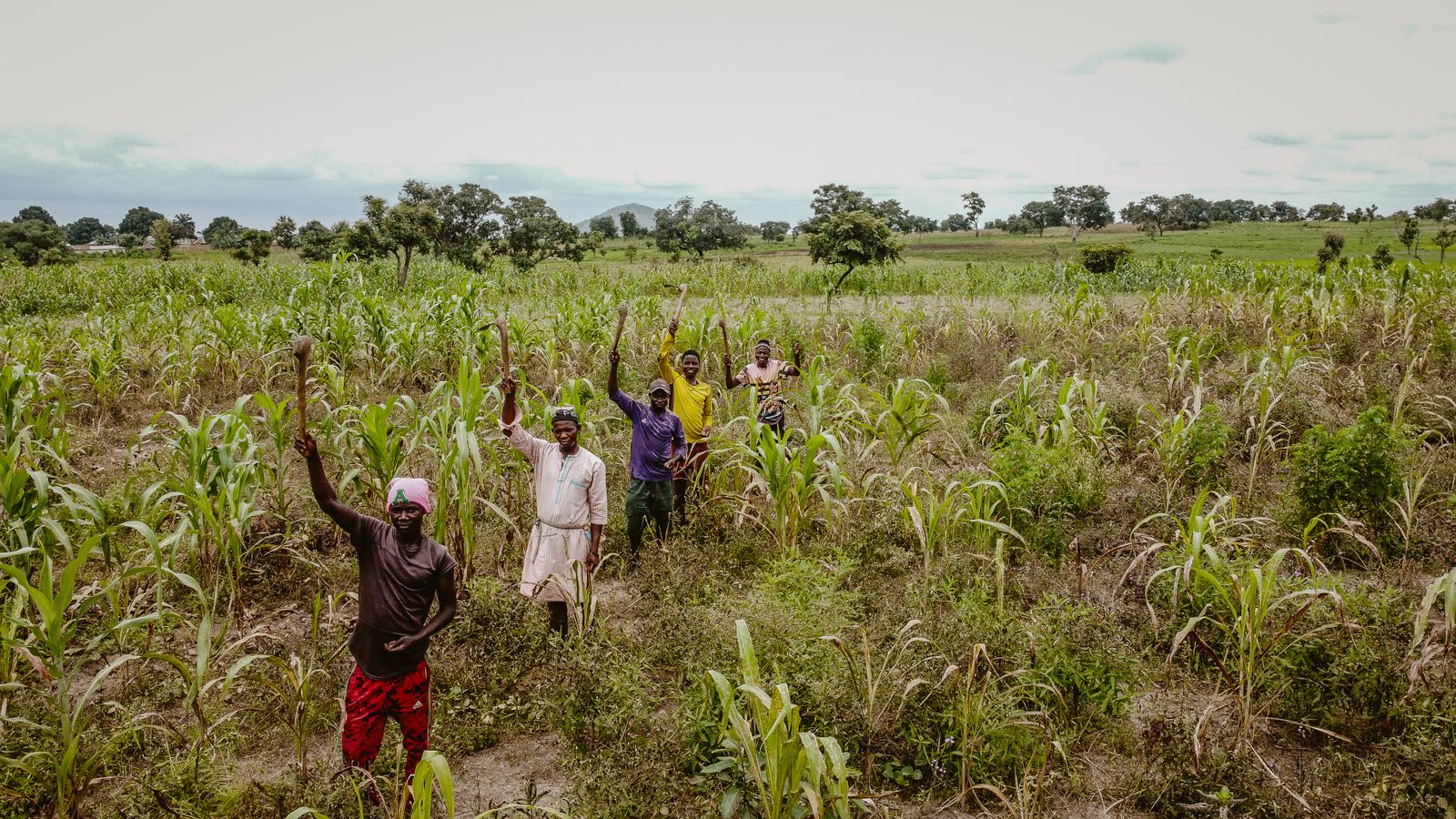 Agricultores africanos a trabalhar no campo