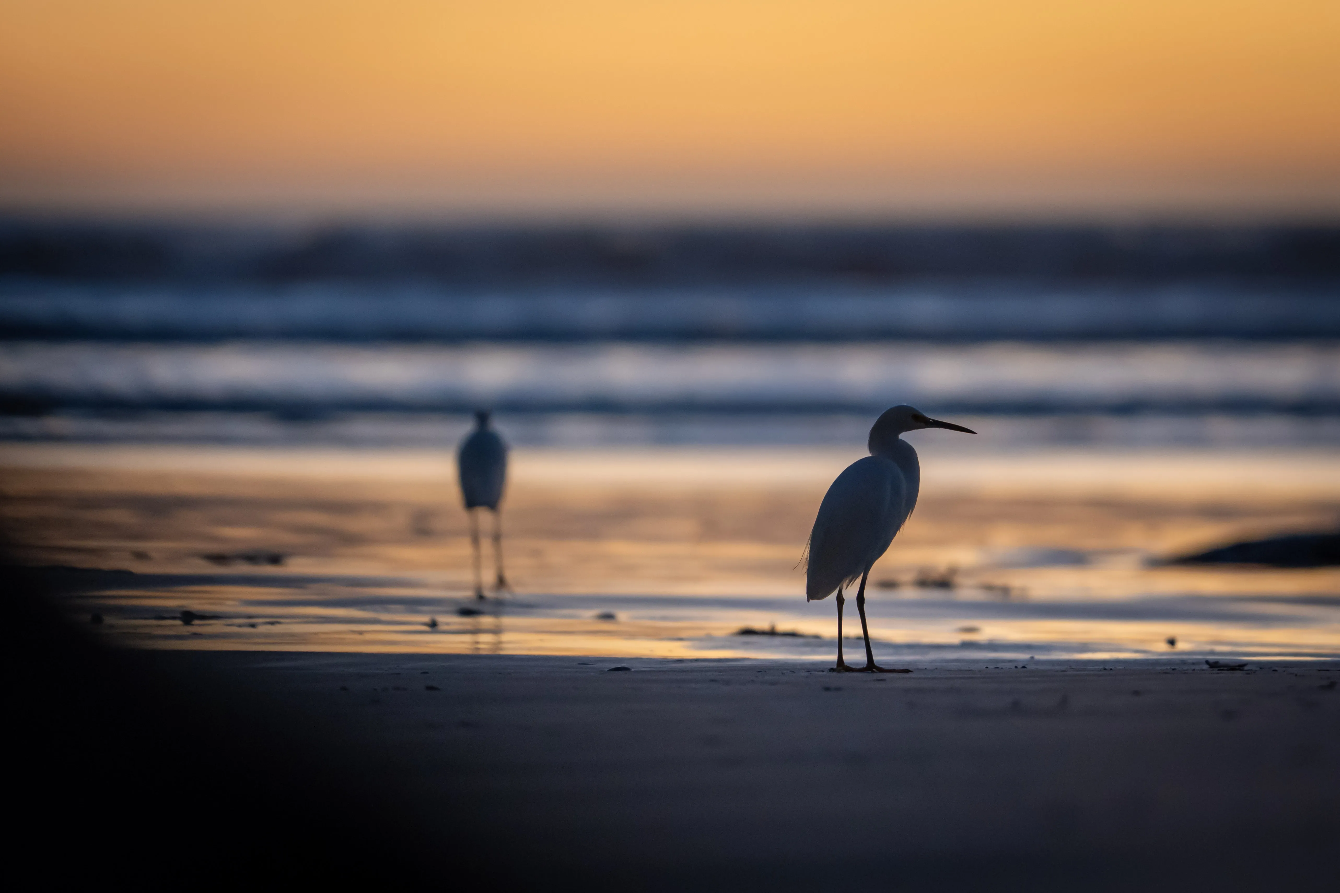 Pismo — Heron II