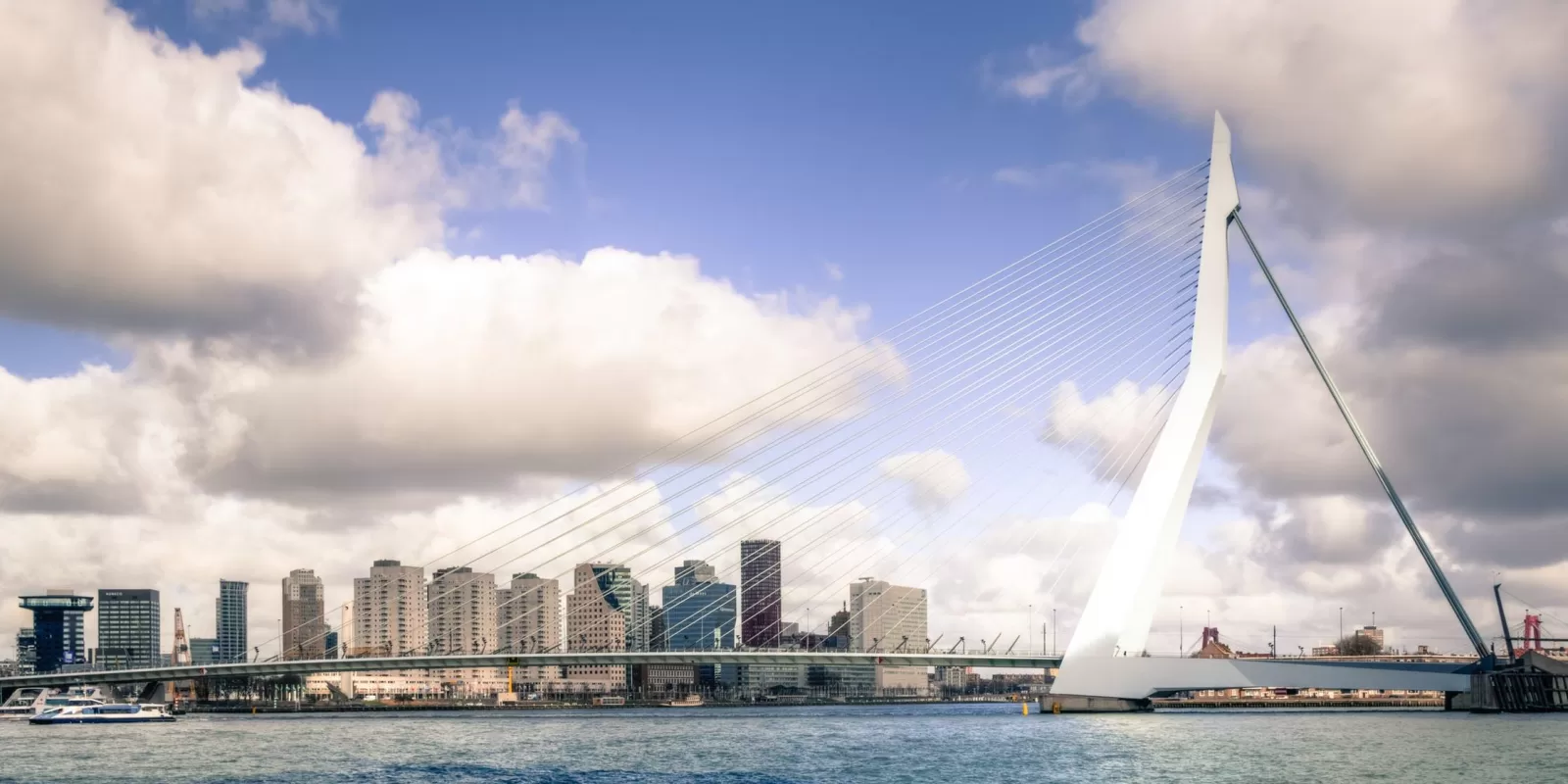 Een studenten bijbaan in Rotterdam bij Trust Marketing