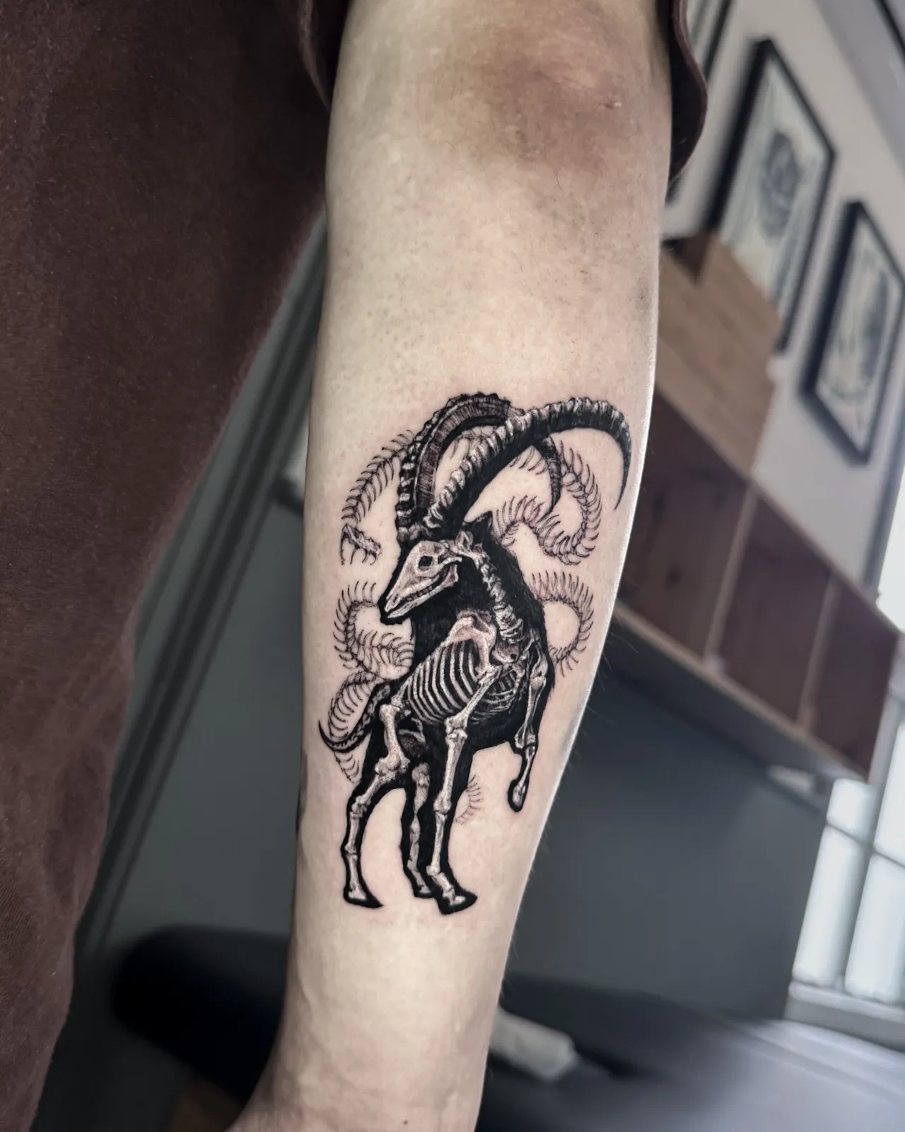 Blackwork skeletal ibex forearm tattoo by Sora at SANS PATRIE/ STUDIO