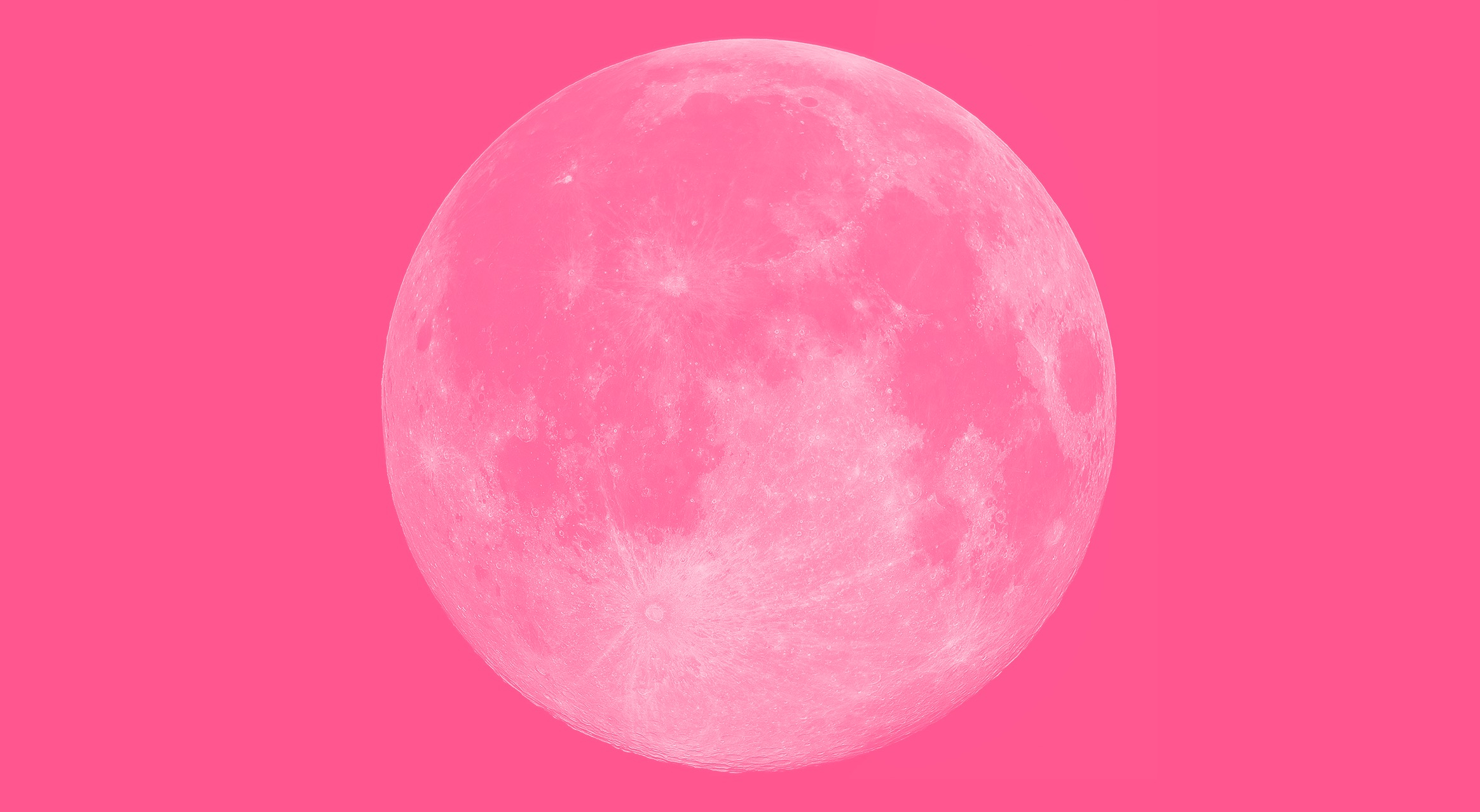 December '24 Horoscopes