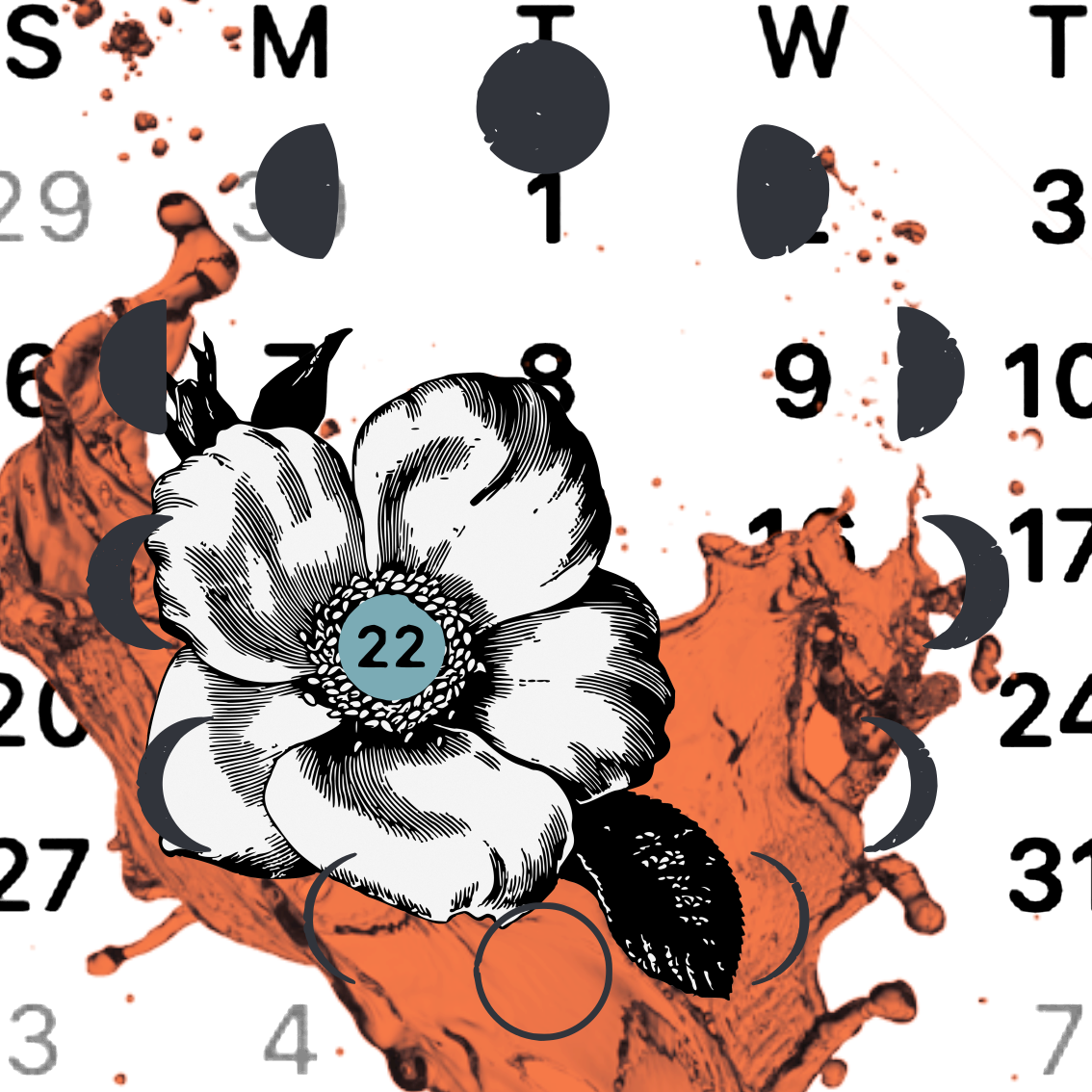 The Cycle: Monthly. Yearly. A Season of Life.