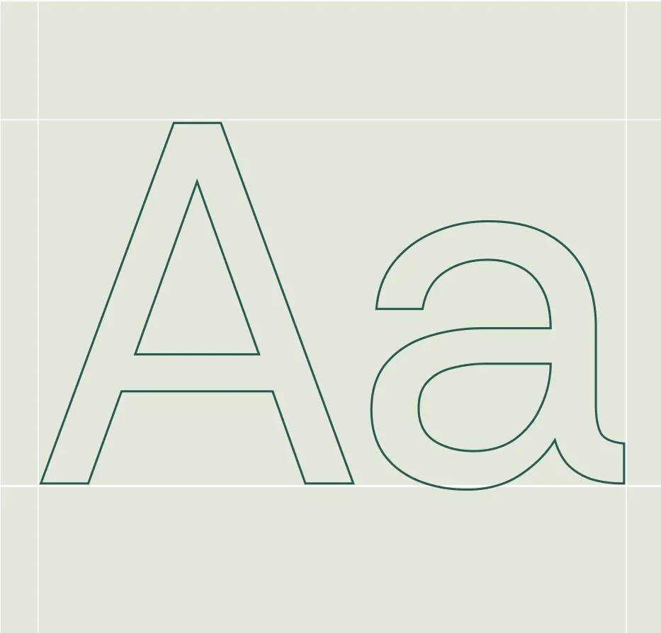 Outlined Aa letterforms on a type construction grid