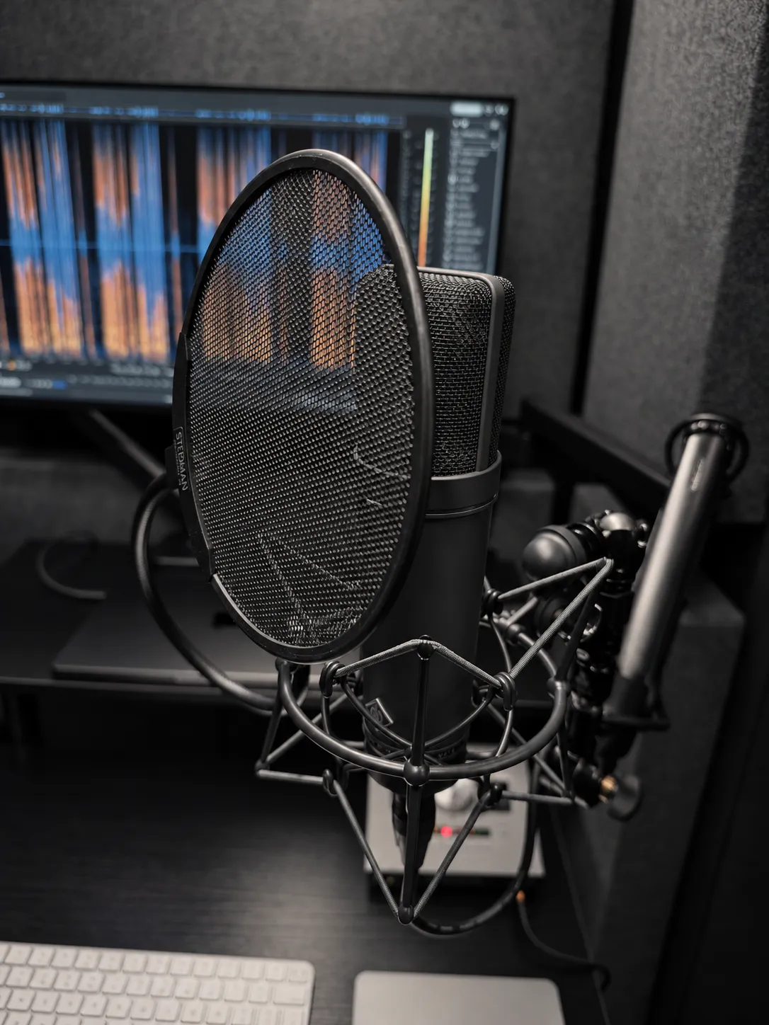 Neumann U87 Ai microphone and pop filter inside the recording booth.