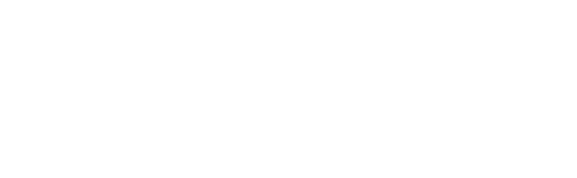 Hofincons Group