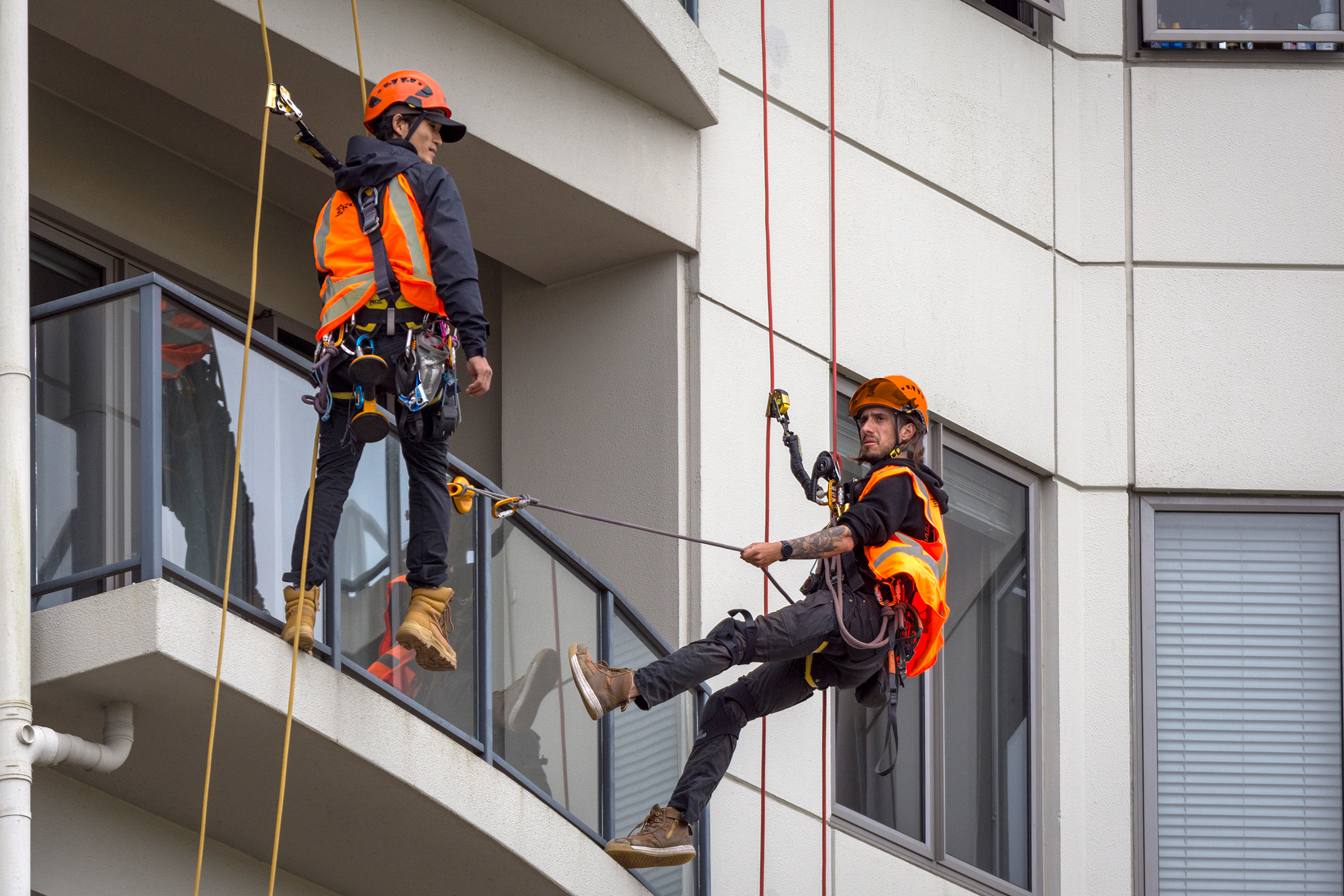 Two workers in orange safety vests and helmets using ropes to work on a building facade near windows.