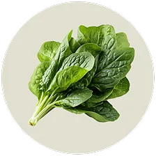 Alpha Lipoic Acid