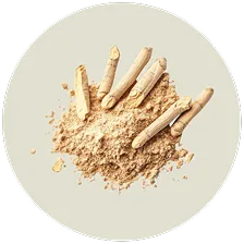 Ashwagandha Extract