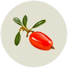 Berberine Extract