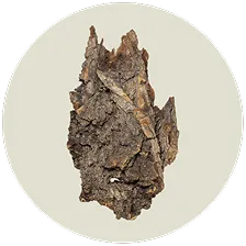 Larch Arabinogalactan
