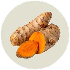 Turmeric Extract