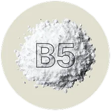 Pantothenic Acid