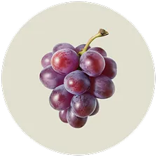 Resveratrol