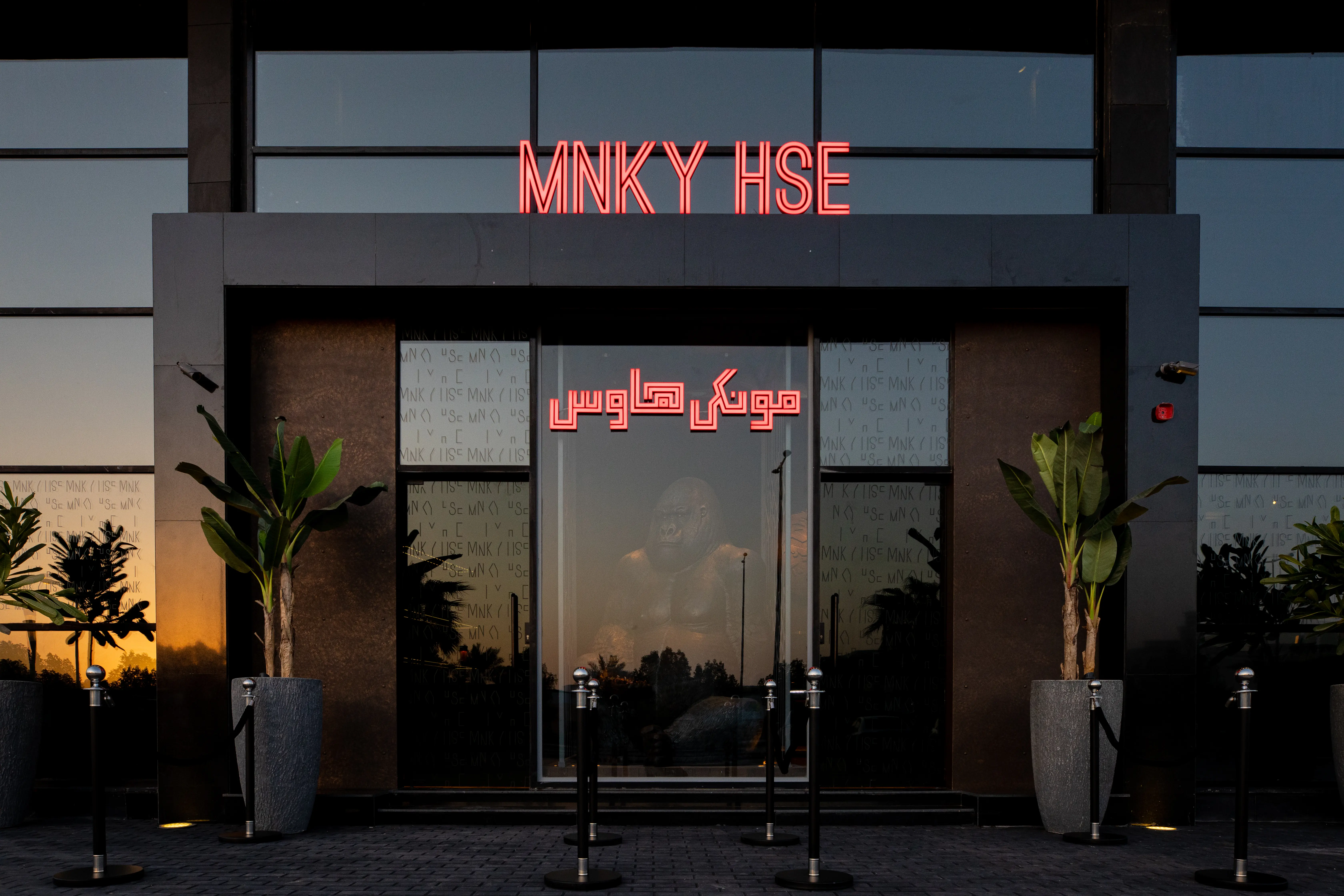 MNKYs Franchise