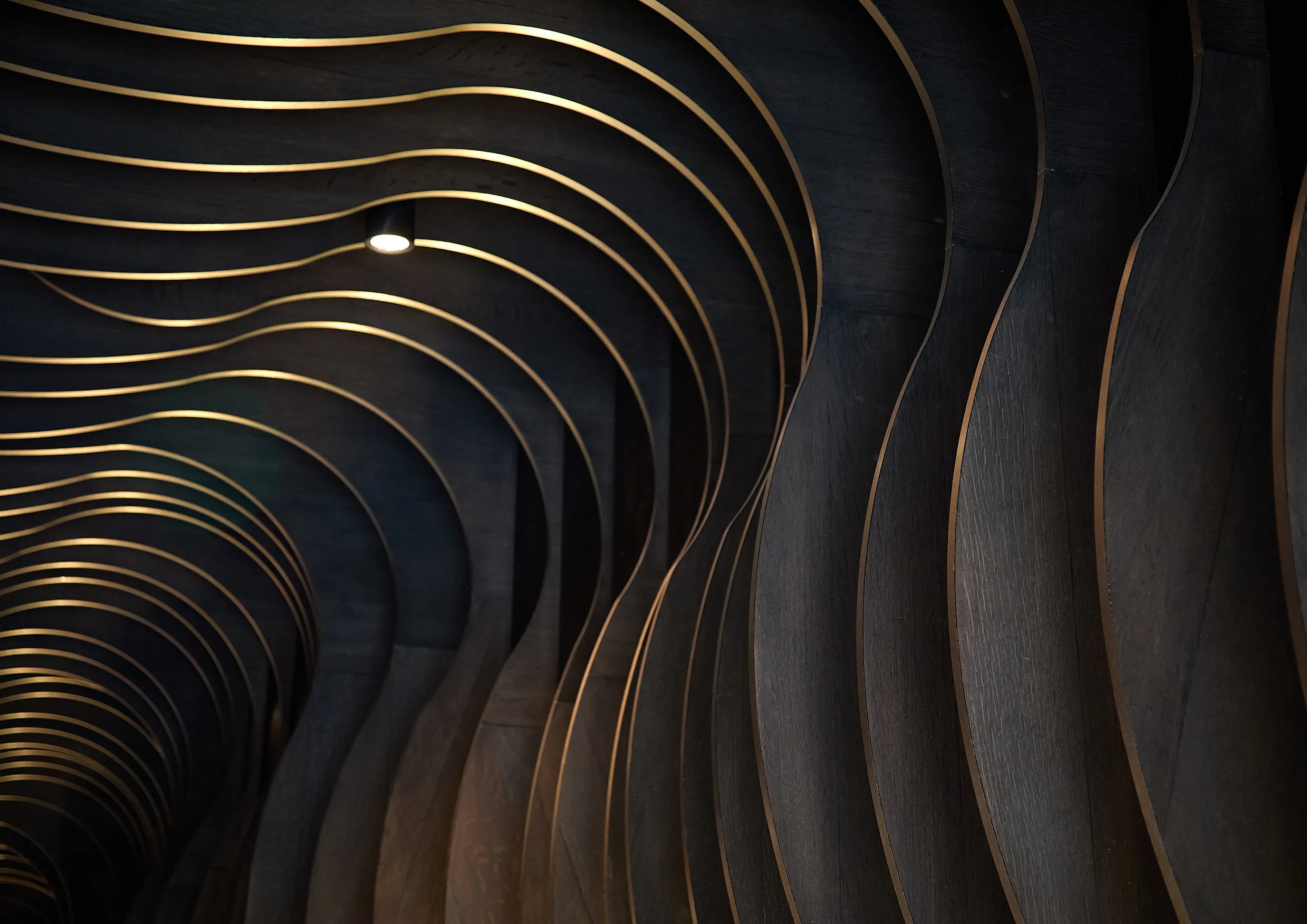 Curved, layered dark wood panels with thin gold edges form a tunnel-like abstract architectural design illuminated by a single spotlight.
