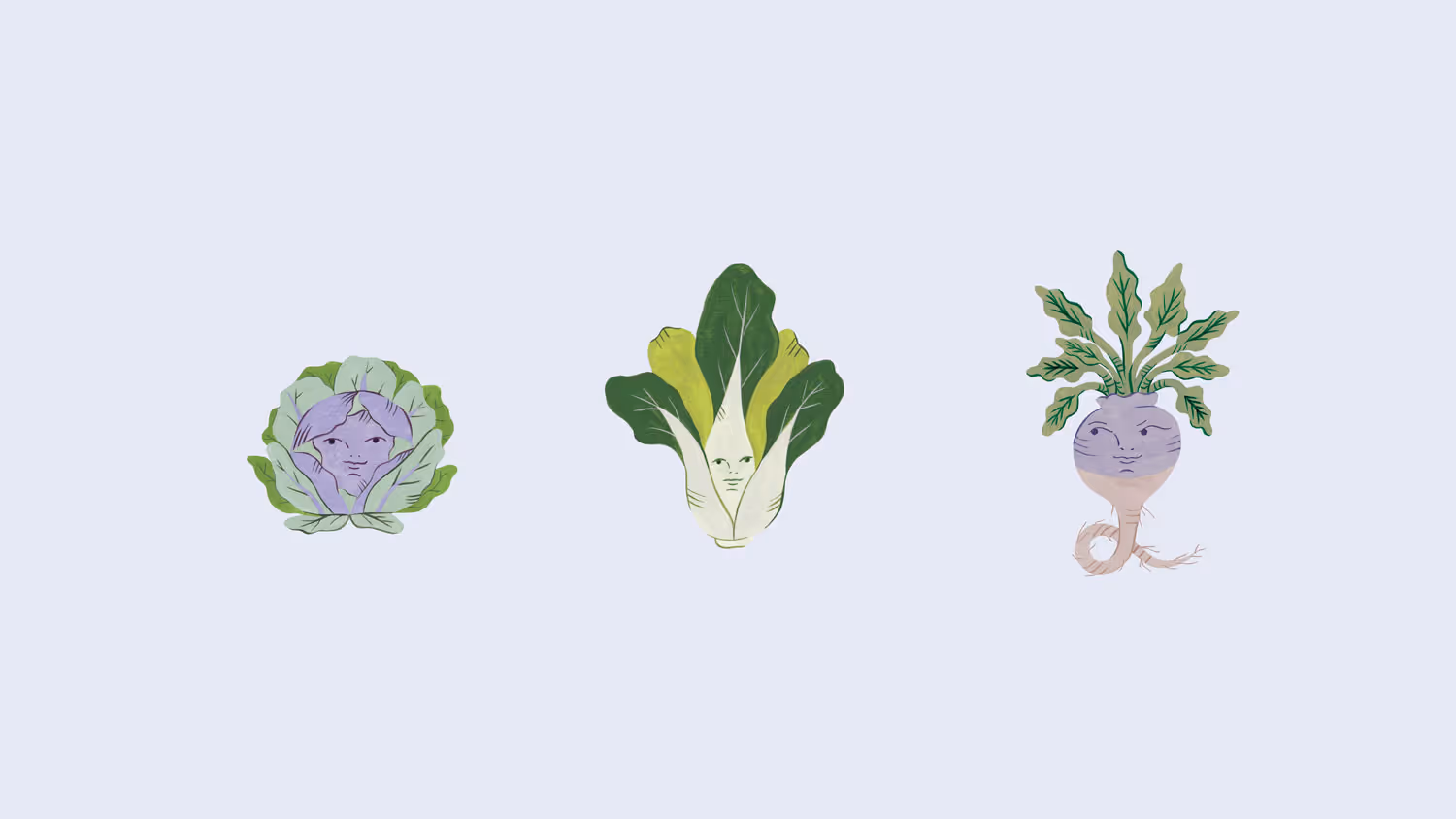 Brassica illustrated vegetable characters and playful brand system