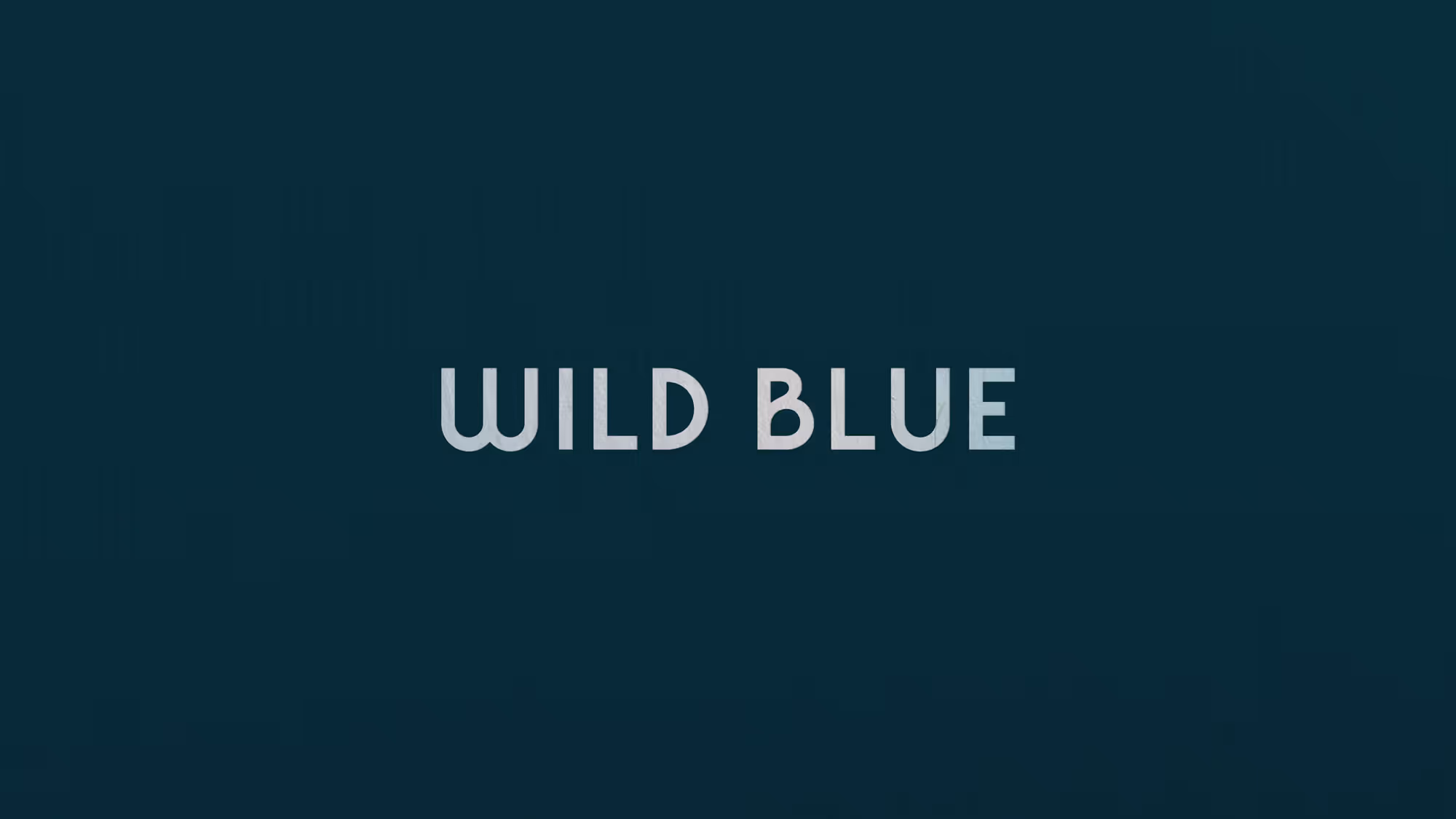Wild Blue restaurant brand identity