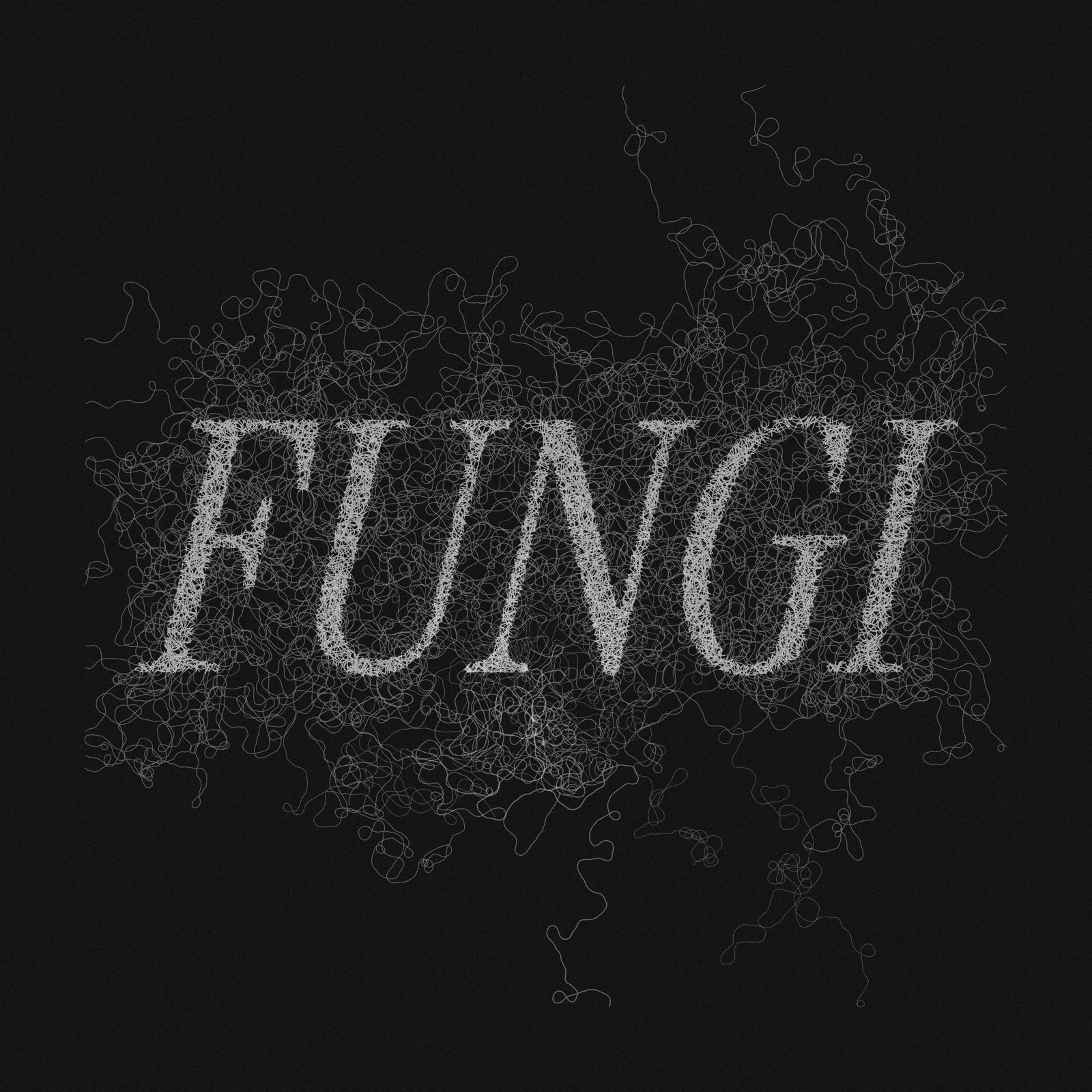 Fine mycelium threads wandering through and filling the word FUNGI in italic serif