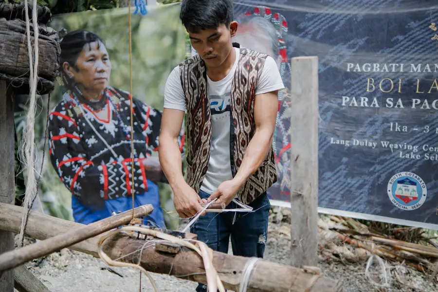 Harvesting abaca