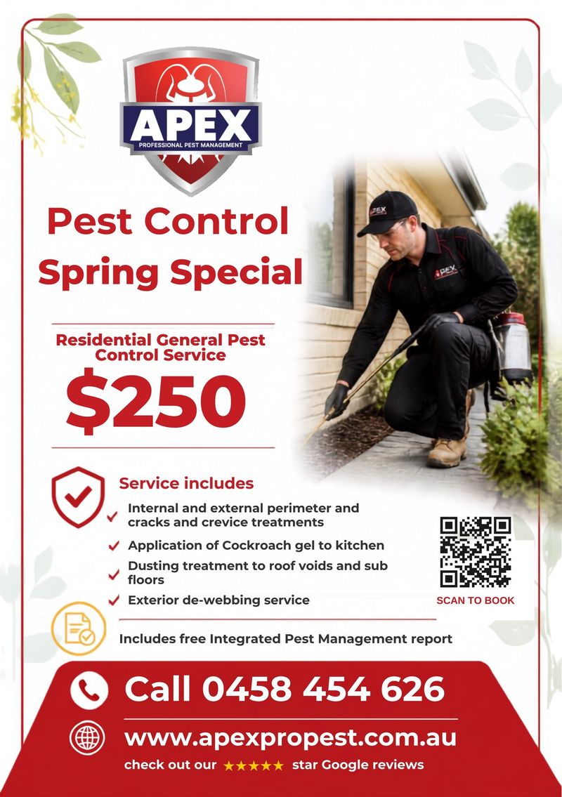 Apex Pest Control Spring Special flyer: residential general pest control service for $250