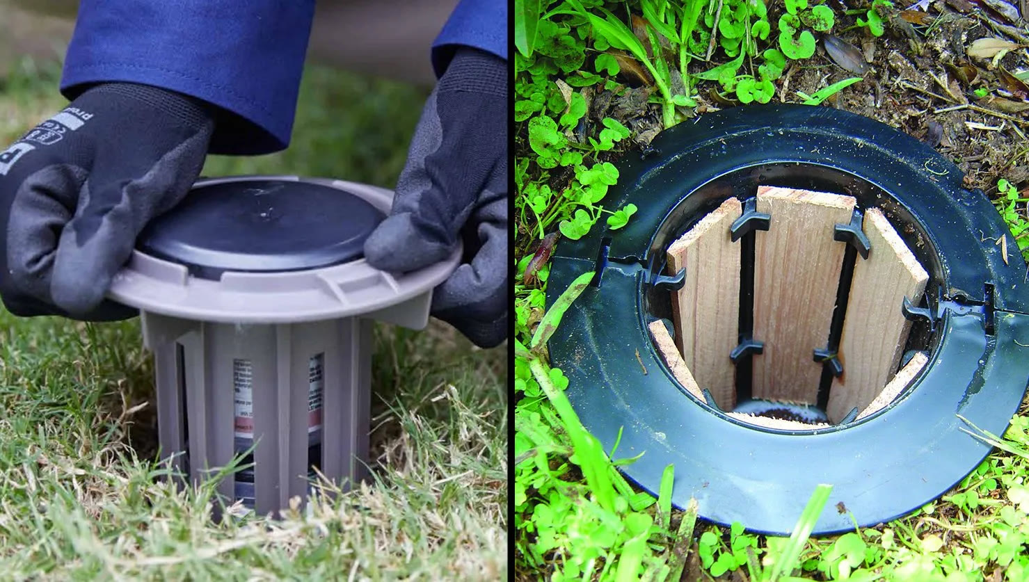 Termite baiting stations installed in the ground
