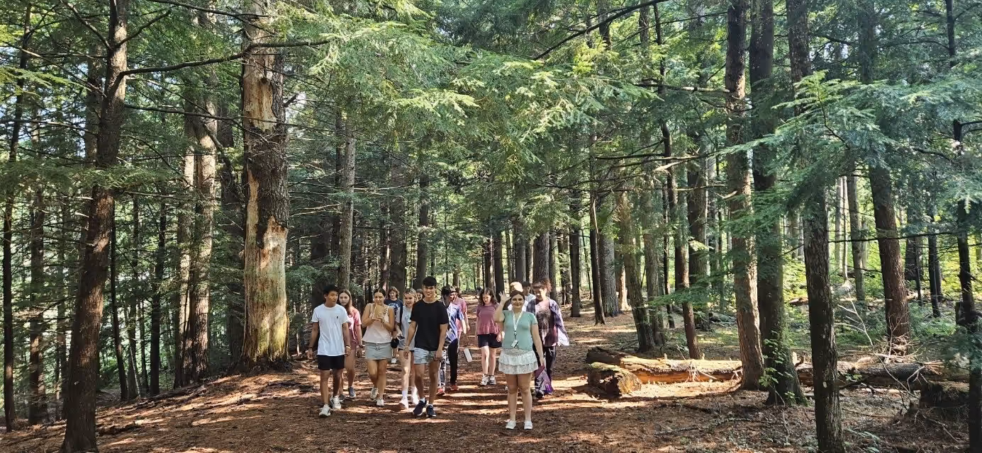 Students hiking a forest trail together