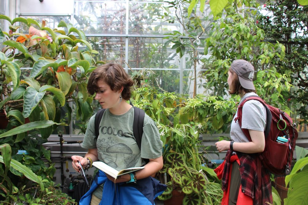 Students writing in notebooks in a greenhouse