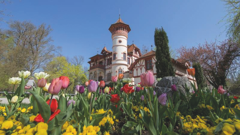 Kurpark & Kultur