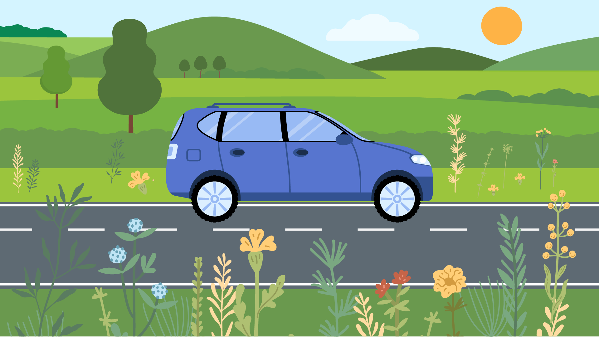 Local Nature Partnerships: Roadside Verges