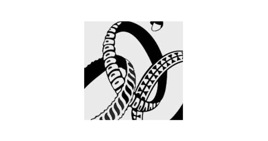 NGO Partner