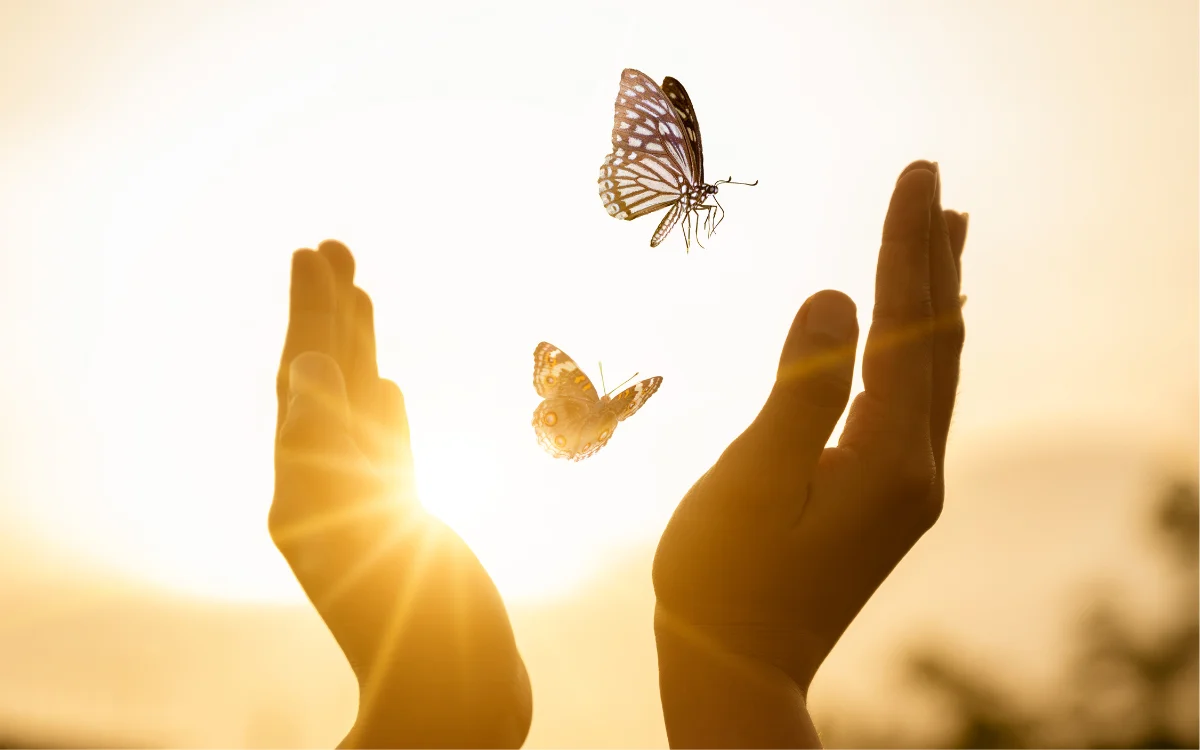 Freedom from Emotional Stability - Pinkishe Pinktalk session