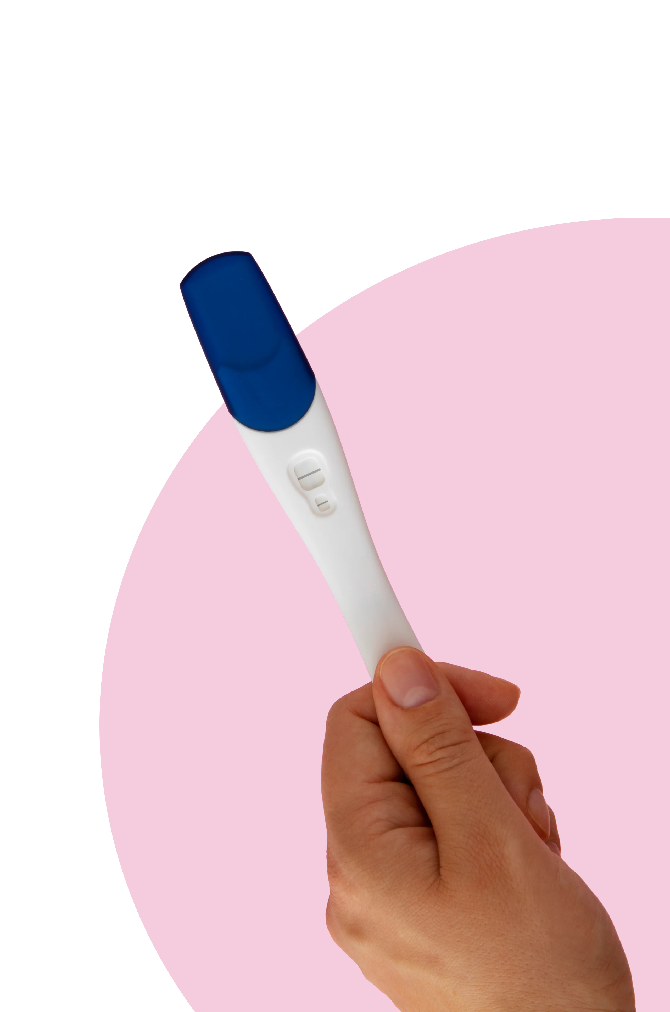 pregnancy text
