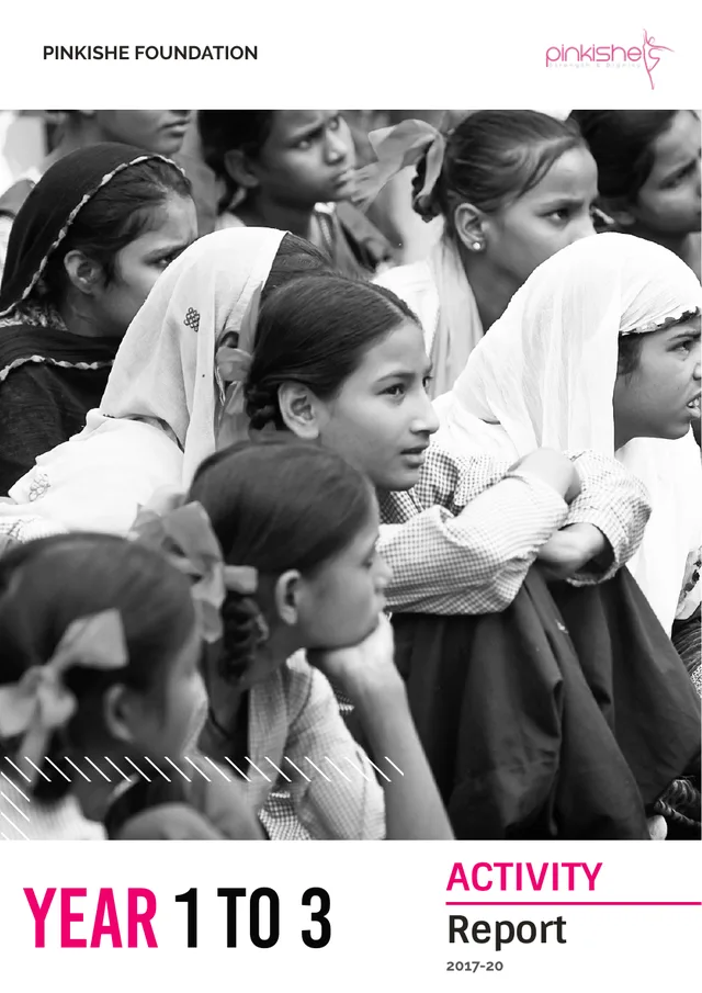Cover of Pinkishe Foundation's Activity Report 2017 to 2020