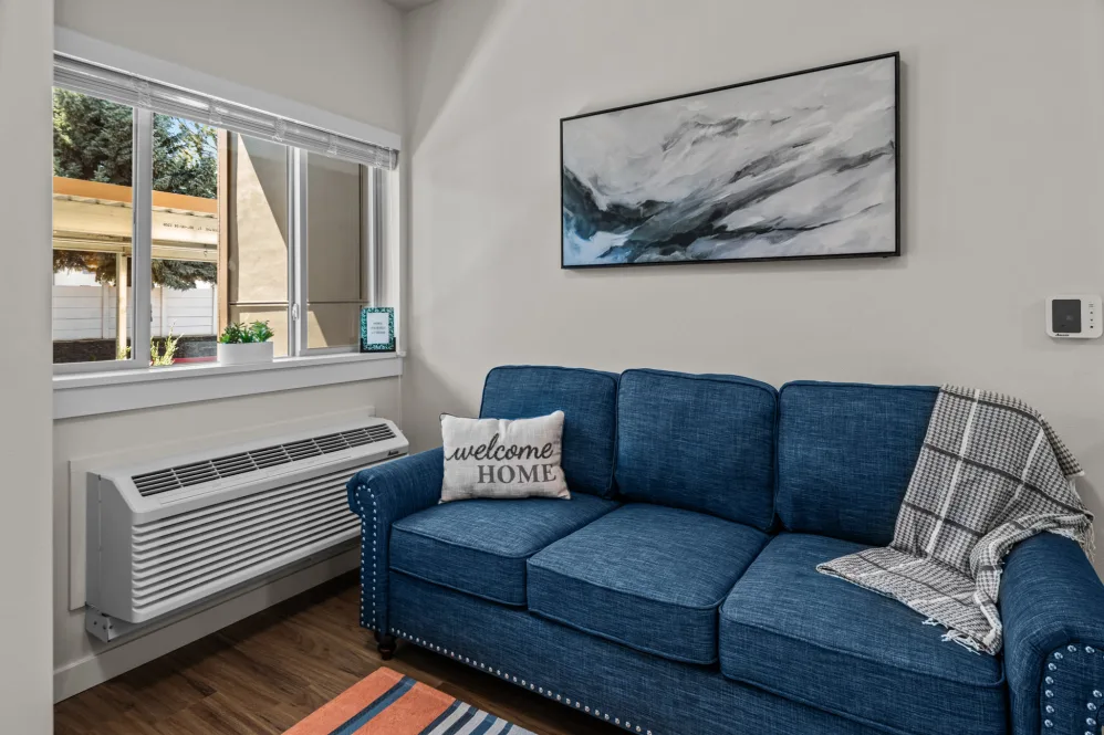 Furnished living room