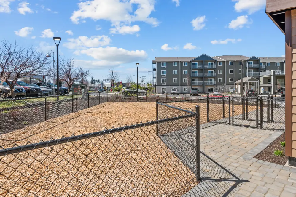 Outdoor dog park