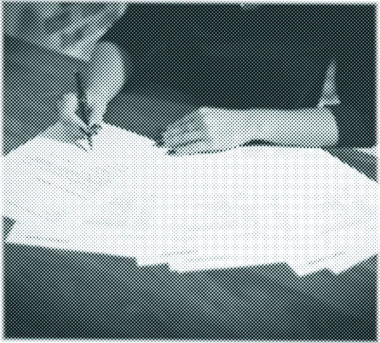 College Application Paperwork