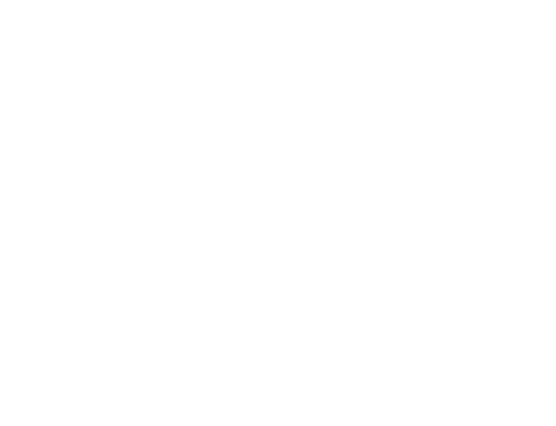 Alto del Carmen