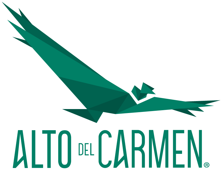 Alto del Carmen