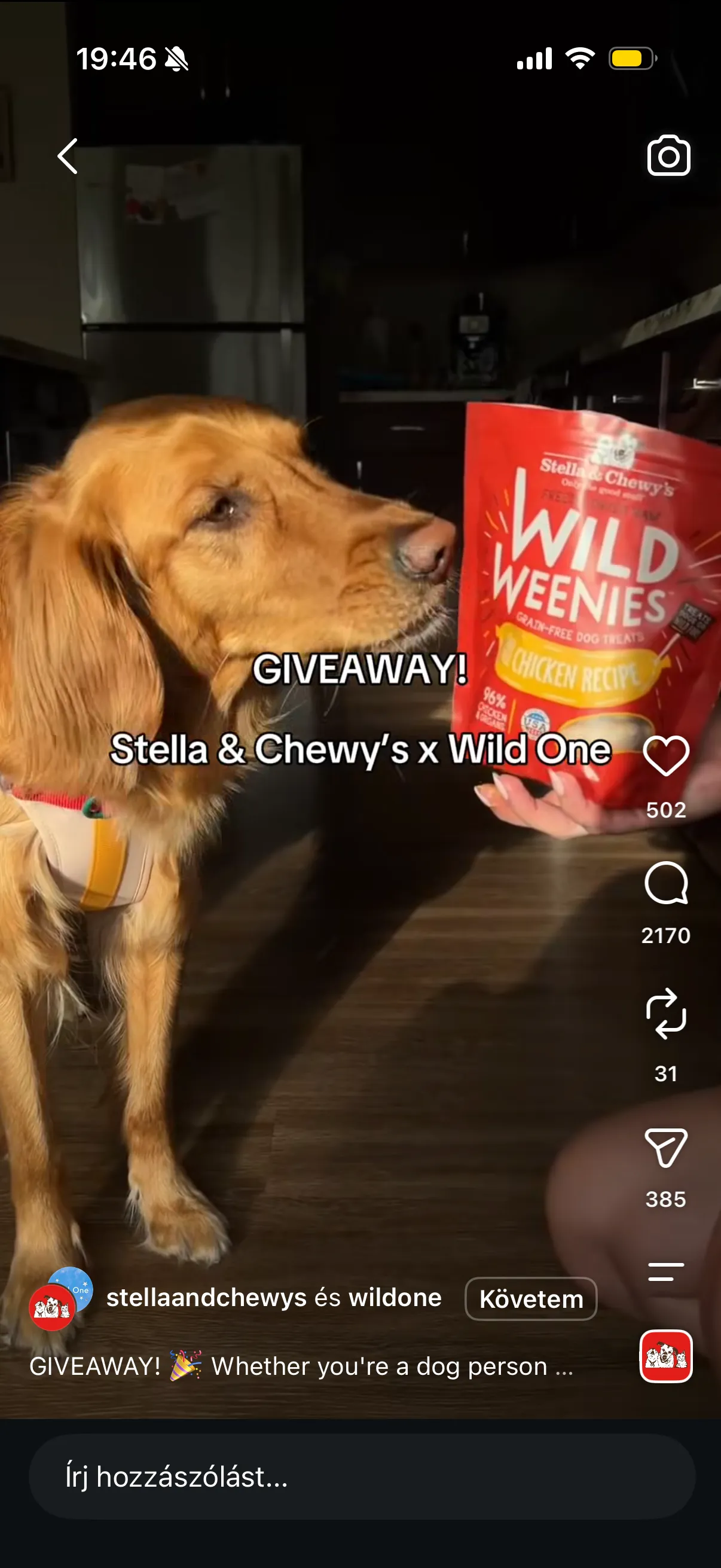 A golden retriever beside a Wild energy drink can
