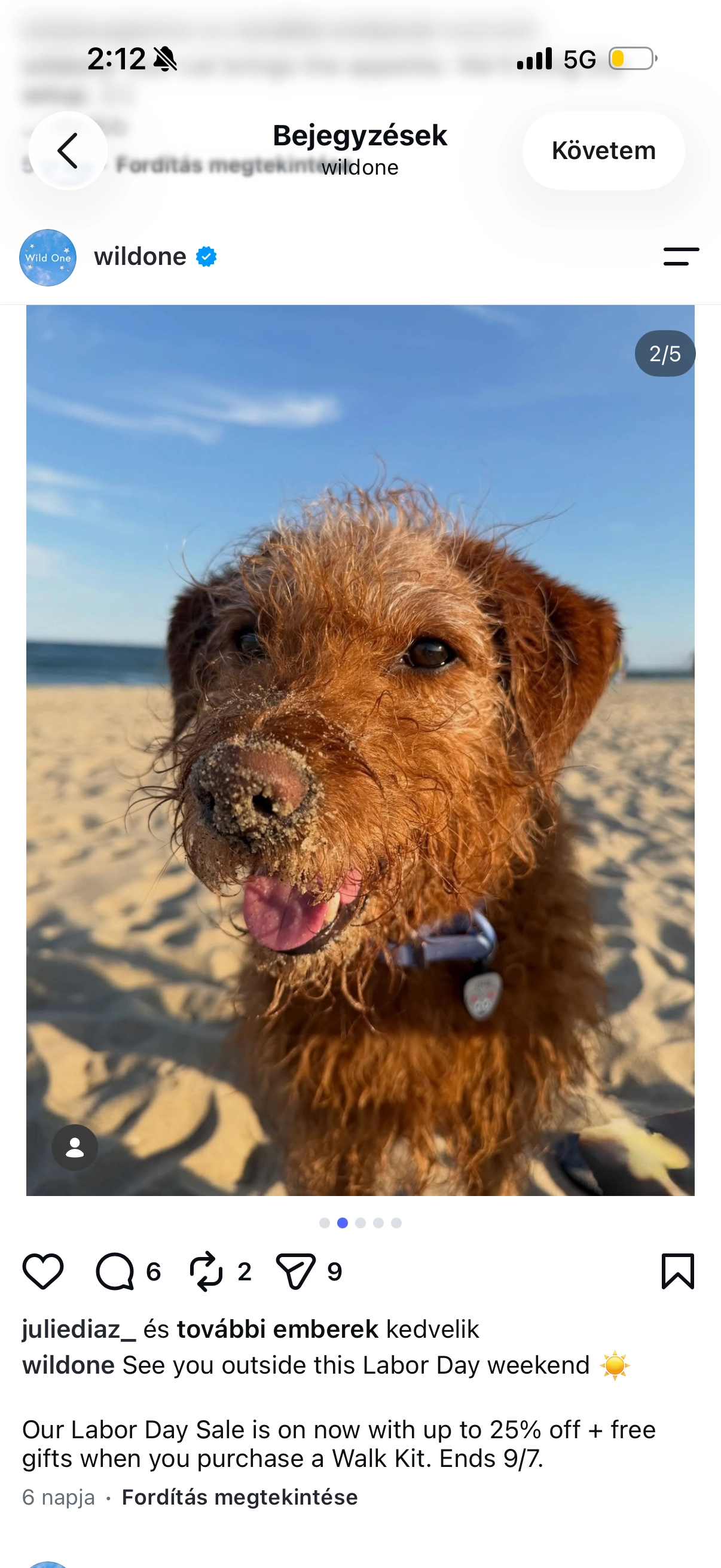 Instagram post: a wire-haired terrier sitting on a beach