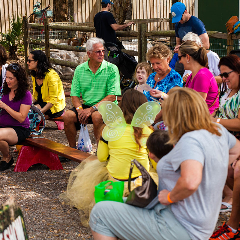 Jungle Gardens Audience