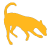 Sniff&Detect logo