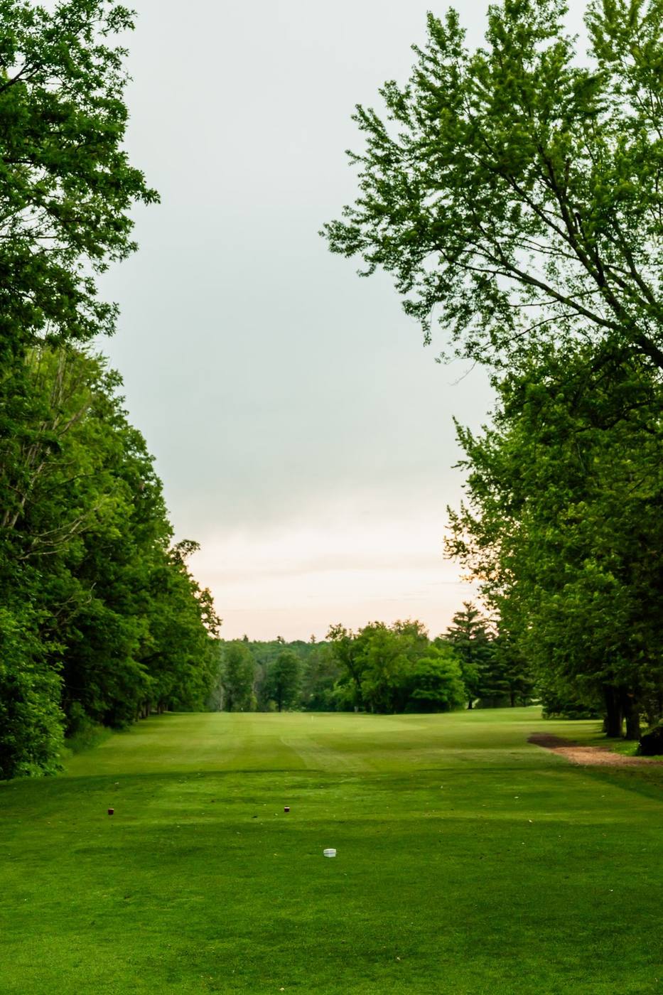 Tree-lined fairway at dusk